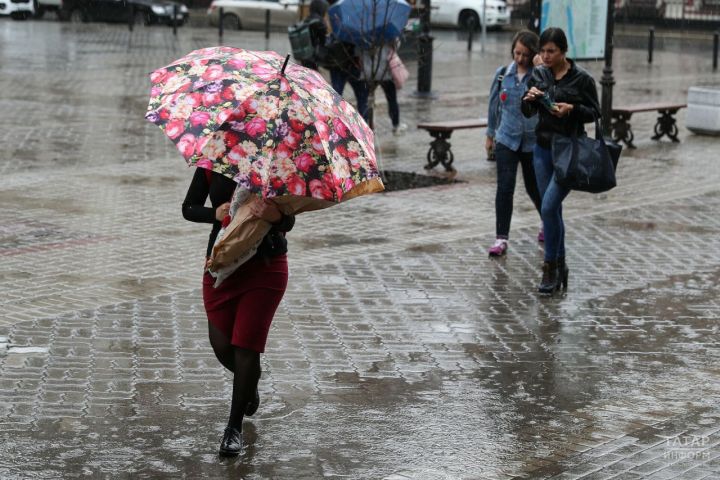 Сильный ветер идёт в Татарстан: рекомендации МЧС