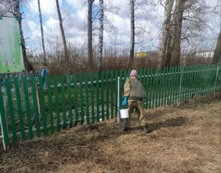 В Менделеевском районе провели обработку парков и скверов от клещей и комаров