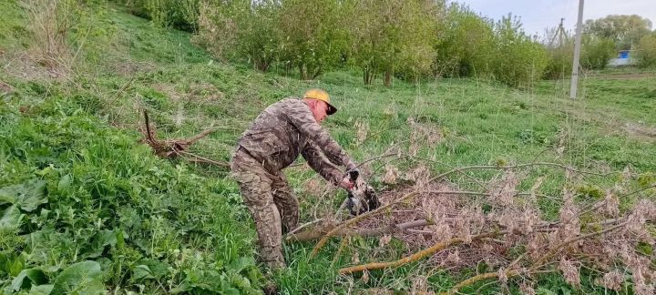 Жители села Тихоново Менделеевского района очистили родник «Неупиваемая чаша» и заложили сад