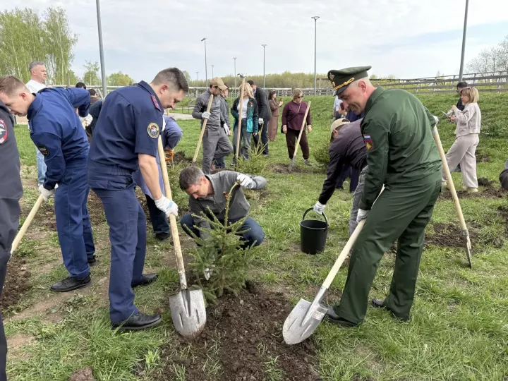 В Менделеевске высадили 81 ель в рамках акции «Сад памяти»