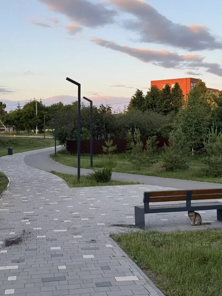 В Менделеевске высадят более 50 саженцев можжевельника, сосны, сирени и рябины