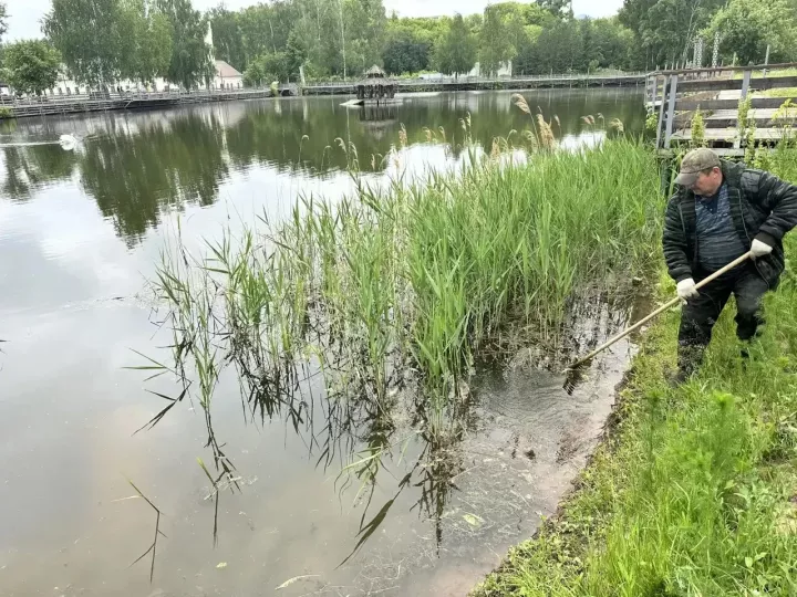 Менделеевцы навели порядок в парке «Ушковские острова» и на улице Фомина