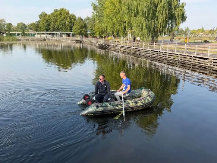В пруд на Ушковских островах выпустили более ста толстолобиков