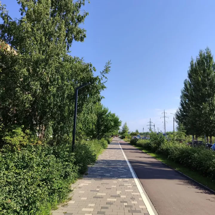 Пасмурное утро и ясный вечер ожидаются 1 сентября в Менделеевске