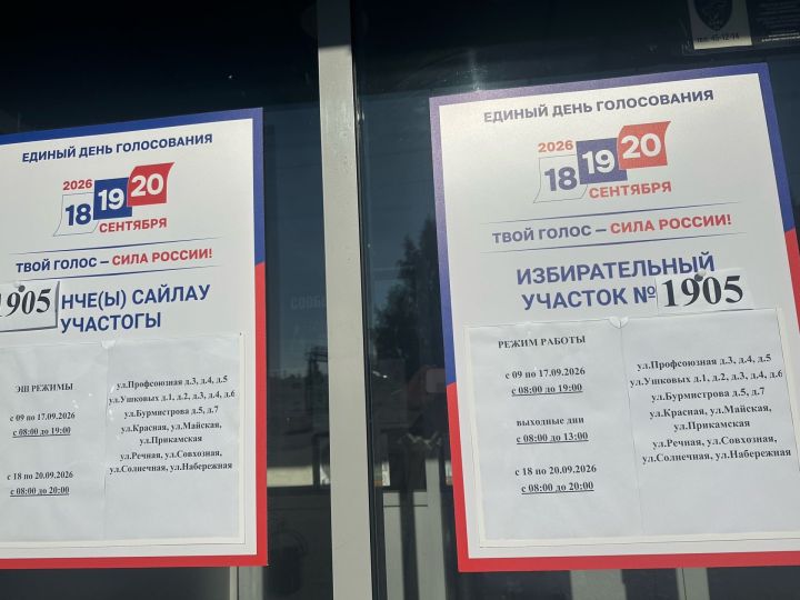В Менделеевском районе озвучили первые итоги явки на выборах